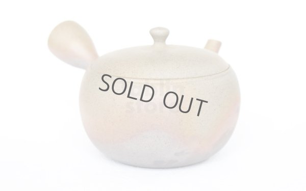 Photo8: Tokoname ware Japanese tea pot Gyokko ceramic tea strainer yakishime maru 330ml