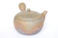 Photo2: Tokoname ware Japanese tea pot Gyokko ceramic tea strainer yakishime maru 330ml (2)