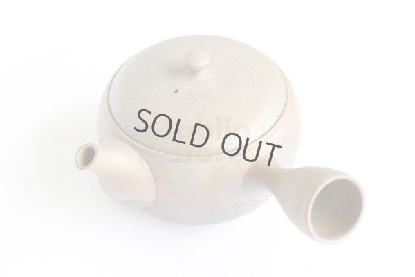 Photo9: Tokoname ware Japanese tea pot Gyokko ceramic tea strainer yakishime maru 330ml