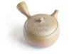 Photo7: Tokoname ware Japanese tea pot Gyokko ceramic tea strainer yakishime maru 330ml