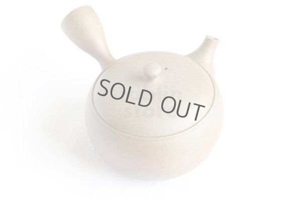 Photo7: Tokoname ware Japanese tea pot Gyokko ceramic tea strainer yakishime maru 330ml