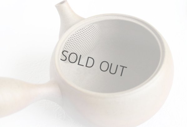 Photo6: Tokoname ware Japanese tea pot Gyokko ceramic tea strainer yakishime maru 330ml