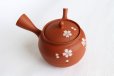 Photo7: Tokoname Japanese tea pot kyusu Gyokko shudei red sujihiki sakura cherry 310ml (7)