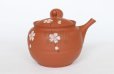 Photo4: Tokoname Japanese tea pot kyusu Gyokko shudei red sujihiki sakura cherry 310ml