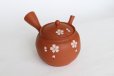 Photo11: Tokoname Japanese tea pot kyusu Gyokko shudei red sujihiki sakura cherry 310ml