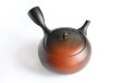 Photo1: Tokoname ware Japanese tea pot kyusu ceramic strainer YT Hokuryu shuma 320ml (1)