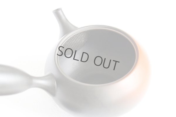 Photo4: Tokoname ware Japanese tea pot kyusu ceramic strainer YT Hokuryu shuma 320ml
