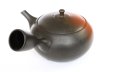 Photo10: Tokoname ware Japanese tea pot kyusu ceramic strainer YT Hokuryu shuma 320ml