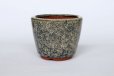 Photo1: Tokoname Bonsai pot garden tree Japanese pottery oval Yozan Eimei namako D94mm (1)
