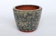 Photo2: Tokoname Bonsai pot garden tree Japanese pottery oval Yozan Eimei namako D94mm (2)