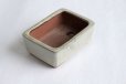 Photo8: Tokoname Bonsai pot garden tree Japanese pottery Yozan Eimei shiro W110mm