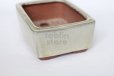 Photo2: Tokoname Bonsai pot garden tree Japanese pottery Yozan Eimei shiro W110mm (2)