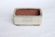 Photo5: Tokoname Bonsai pot garden tree Japanese pottery Yozan Eimei shiro W110mm