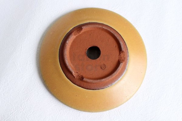 Photo5: Tokoname Bonsai pot garden tree Japanese pottery oval Yozan Eimei flat D155mm