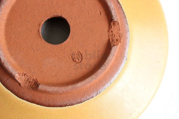 Photo8: Tokoname Bonsai pot garden tree Japanese pottery oval Yozan Eimei flat D155mm