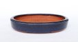 Photo1: Tokoname Bonsai pot garden tree Japanese pottery oval Yozan Eimei navy W148mm (1)