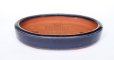 Photo2: Tokoname Bonsai pot garden tree Japanese pottery oval Yozan Eimei navy W148mm (2)