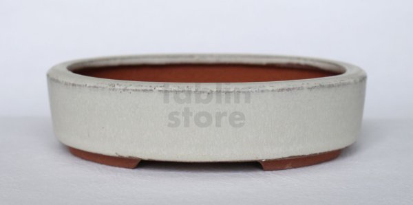 Photo7: Tokoname Bonsai pot garden tree Japanese pottery oval Yozan Eimei shiro W153mm