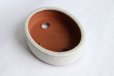 Photo3: Tokoname Bonsai pot garden tree Japanese pottery oval Yozan Eimei shiro W153mm