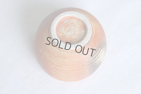 Photo6: Mino ware Japanese pottery matcha chawan tea bowl toga yuttari shiga noten