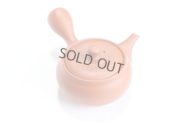 Photo11: Tokoname tea pot kyusu Jinsui Kiwami shudei red naka hira 270ml