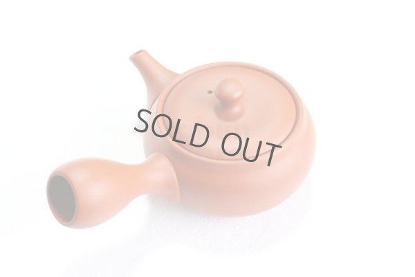 Photo10: Tokoname tea pot kyusu Jinsui Kiwami shudei red naka hira 270ml