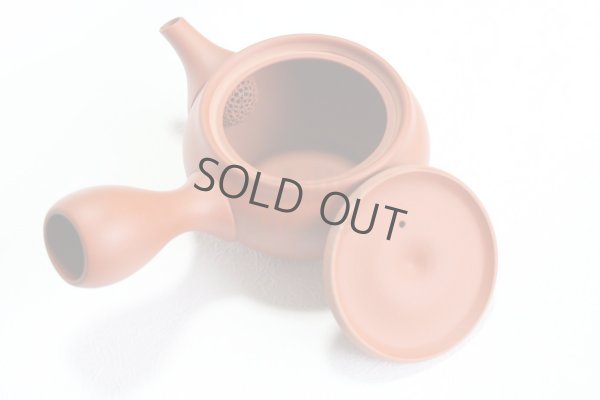 Photo9: Tokoname tea pot kyusu Jinsui Kiwami shudei red naka hira 270ml