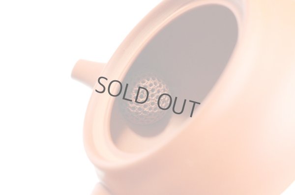 Photo8: Tokoname tea pot kyusu Jinsui Kiwami shudei red naka hira 270ml