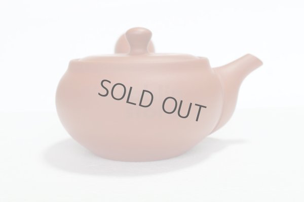Photo5: Tokoname tea pot kyusu Jinsui Kiwami shudei red naka hira 270ml