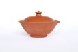 Photo10: Tokoname Shiboridashi Japanese tea pot red shudei oxidized fire Gafu Ito 90ml 