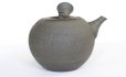 Photo5: Tokoname Kyusu Japanese tea pot yakishime round Gafu Ito 220ml 