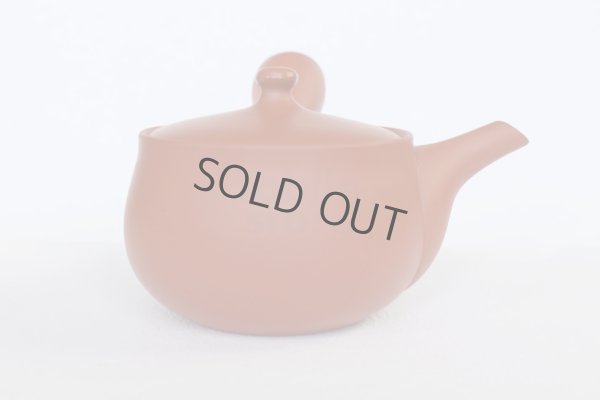 Photo10: Tokoname tea pot kyusu Jinsui Kiwami shudei red hana 370ml