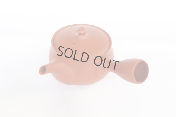 Photo8: Tokoname tea pot kyusu Jinsui Kiwami shudei red hana 370ml