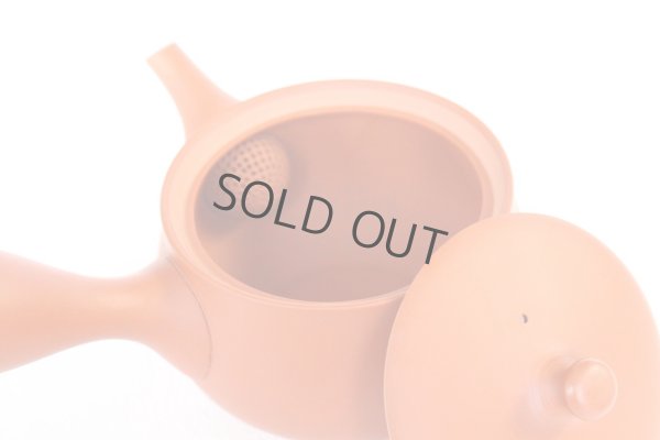 Photo6: Tokoname tea pot kyusu Jinsui Kiwami shudei red hana 370ml