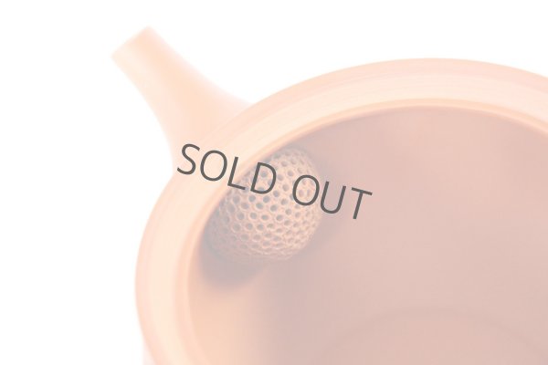 Photo5: Tokoname tea pot kyusu Jinsui Kiwami shudei red hana 370ml