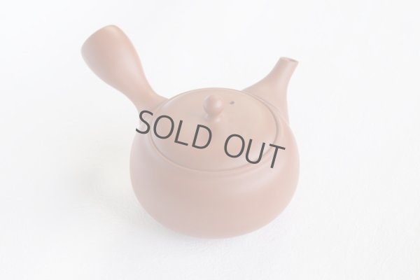 Photo11: Tokoname tea pot kyusu Jinsui Kiwami shudei red kama 270ml