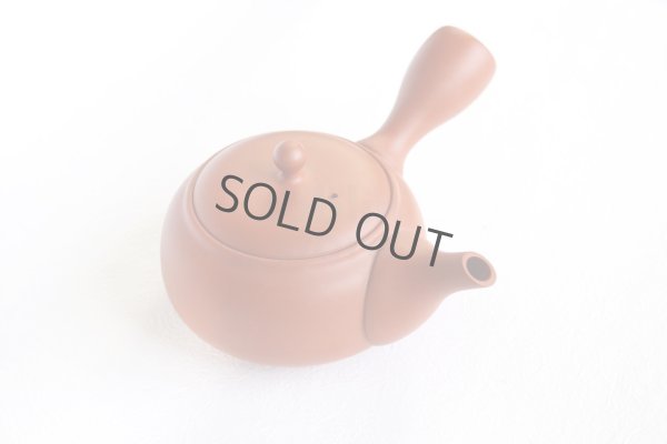 Photo9: Tokoname tea pot kyusu Jinsui Kiwami shudei red kama 270ml