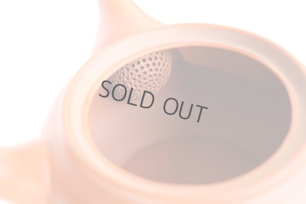 Photo6: Tokoname tea pot kyusu Jinsui Kiwami shudei red kama 270ml