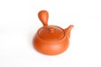 Photo6: Tokoname tea pot kyusu Jinsui Kiwami shudei red biku flat shape small 120ml