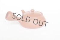 Tokoname tea pot kyusu Jinsui Kiwami shudei red biku flat shape small 120ml