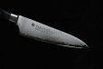 Photo2: SAKAI TAKAYUKI Japanese knife Damascus 63-layers speciel alloy core any type (2)