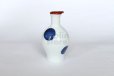 Photo3: Arita imari sd Porcelain Japanese soy sauce bottle  nishokumarumon 140ml