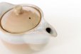 Photo6: Hagi yaki ware Japanese tea pot Maru with stainless tea strainer 480ml