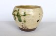 Photo6: Shigaraki pottery Japanese matcha tea bowl chawan ippuku green midori