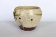 Photo7: Shigaraki pottery Japanese matcha tea bowl chawan ippuku green midori