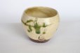 Photo9: Shigaraki pottery Japanese matcha tea bowl chawan ippuku green midori