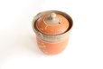 Photo3: Tokoname ware Japanese tea pot tosei dragonfly cover ceramic tea strainer 150ml