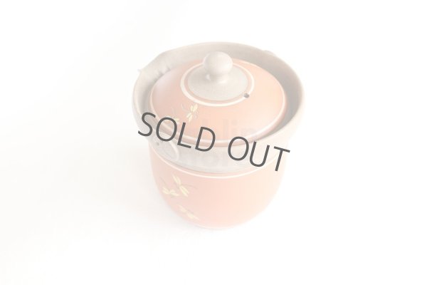 Photo3: Tokoname ware Japanese tea pot tosei dragonfly cover ceramic tea strainer 150ml