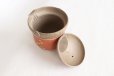Photo4: Tokoname ware Japanese tea pot tosei dragonfly cover ceramic tea strainer 150ml
