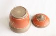 Photo5: Tokoname ware Japanese tea pot tosei dragonfly cover ceramic tea strainer 150ml